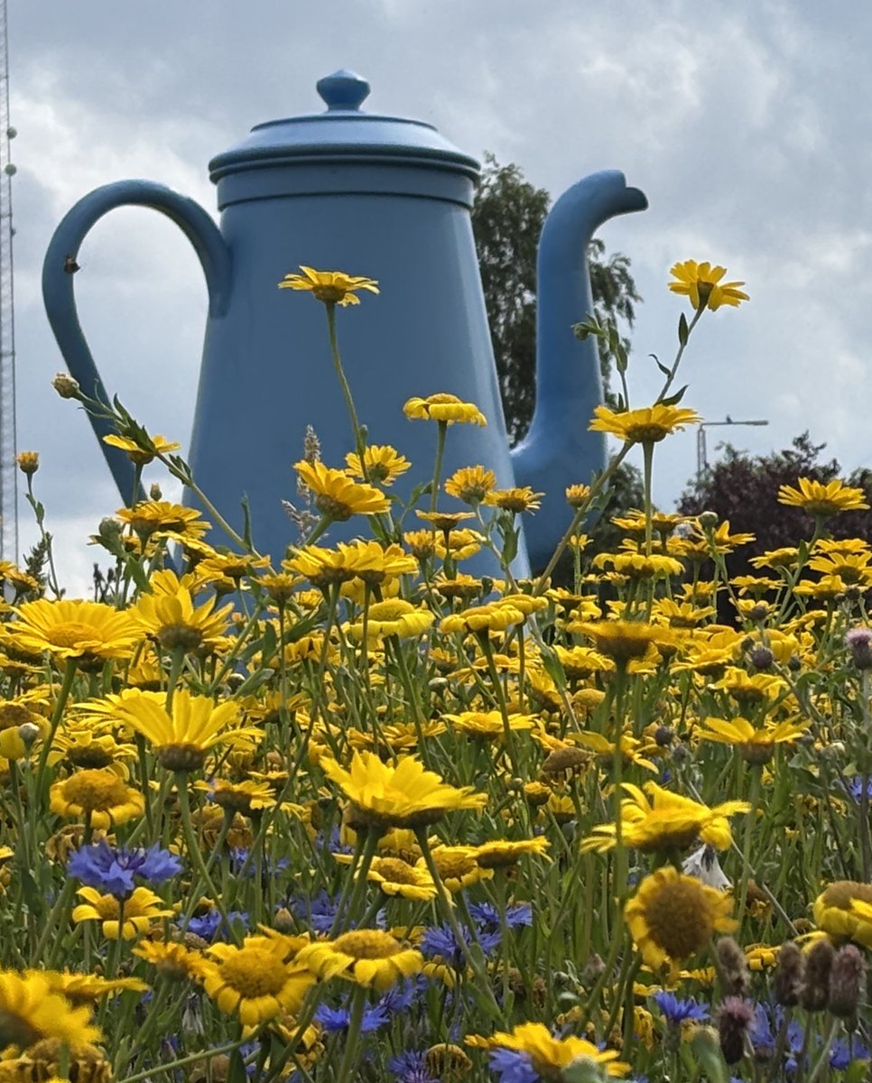 Colettephoto's tweet image. &quot;In fields of gold and blue, a mighty coffee pot stands tall, uniting us in nature&apos;s gentle call. ☕🌼 

- Colette H.Guggenheim📸🇩🇰
#UnityInNature #PeacefulMoment