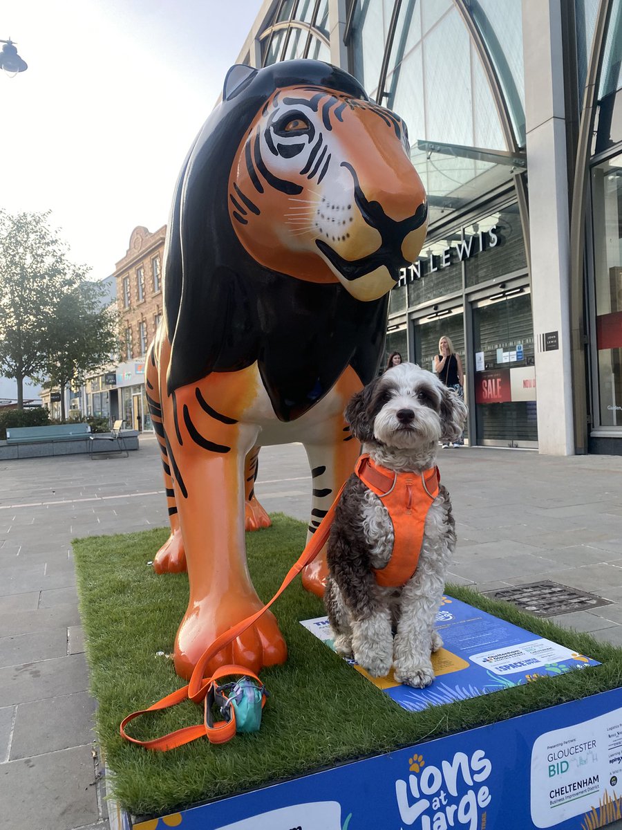 BeMoreBob tweet media