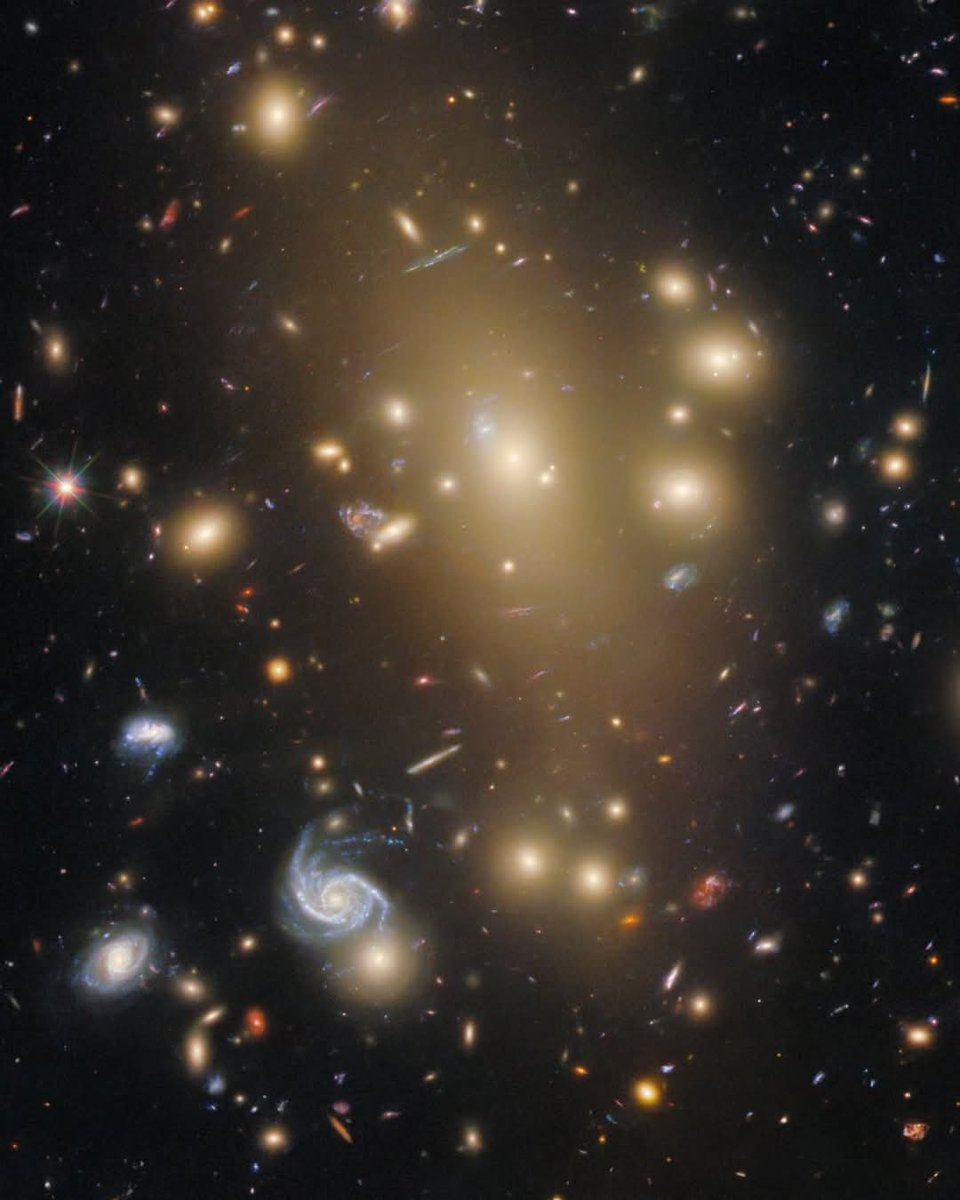 amazing_physics's tweet image. Hubble’s recent “Picture of the Week” highlights the galaxy cluster Abell 209, located about 2.8 billion light‑years away in the constellation Cetus. This massive gathering contains over a hundred galaxies, most of which appear as smooth, golden-hued ellipticals, with a few…