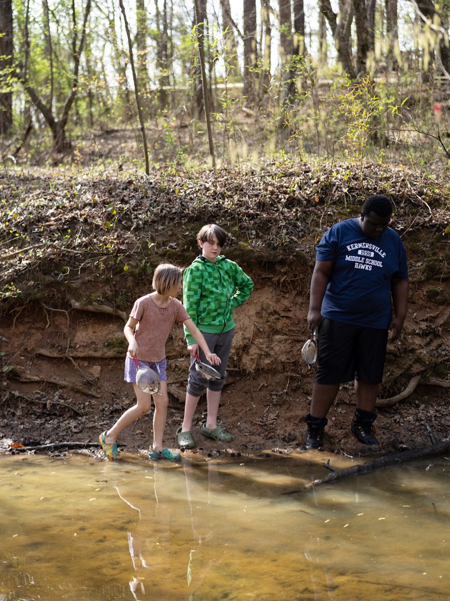 CityofWS's tweet image. Creepy-crawlies: friend or foe?🦎🐟 Learn about these little critters at our next Creek Crawl!
⏰ July 28, 2025, 10:00 a.m. to 11:30 a.m.
Register now: cityofws.org/3610/Public-Ev…