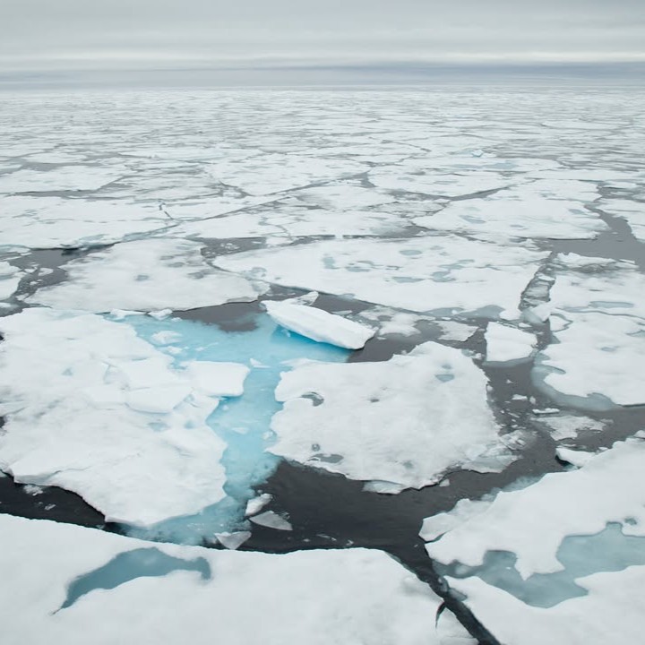 TheTorontoZoo's tweet image. Today is #ArcticSeaIceDay and your Toronto Zoo is committed to protecting sea ice for species around the world ❄️
Test your Climate IQ and enter to win a behind-the-scenes encounter with your Zoo's four Polar bears 🐻❄️
Full details ⬇️
bit.ly/4lwg4ao