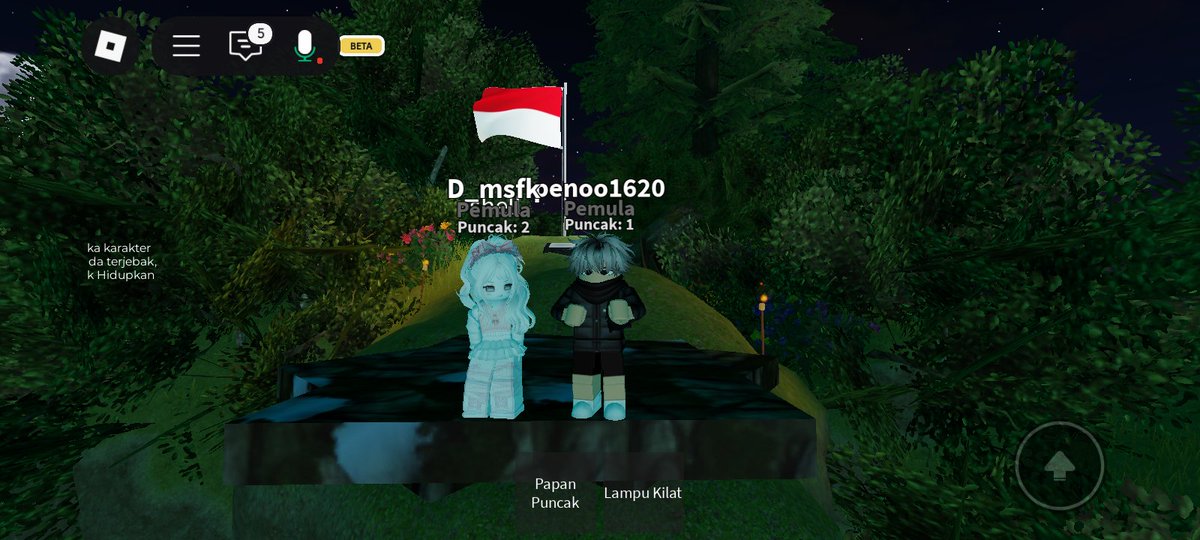 ecravyn's tweet image. mt daun pt.2 with adik peno😎✊🏻