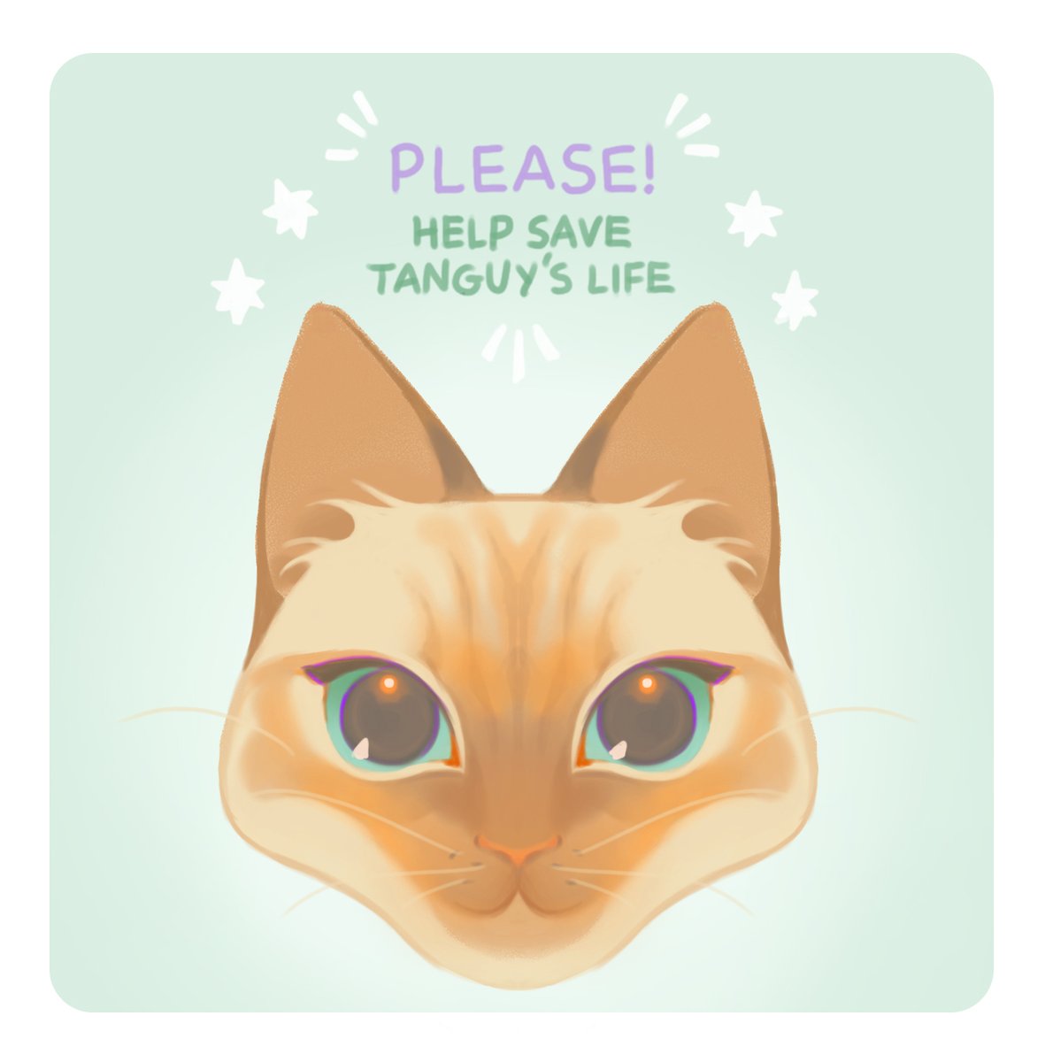 My friend's cat got badly injured, and needs to undergo heavy surgeries. He can't survive without these, and the total coast is 4000€. A considerable amount of money they can't afford. Sharing this post or/and giving a few euros would be of great help! I'll share the link below!