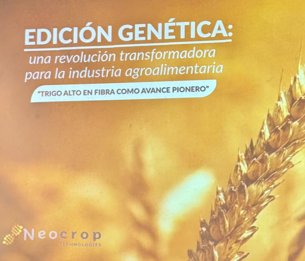 Valdivia, avances en #SpeedBreeding desde el Sur de Chile al Mundo.

<a href="/ChileBio_AG/">ChileBio</a>