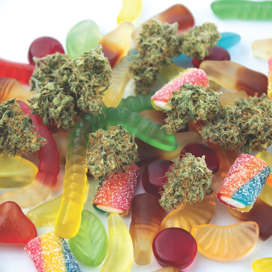 ASAMonitor's tweet image. Read “Managing Anesthesia in Cannabis Users: Screening, Risks, and Best Practices” in the July @ASAMonitor to learn about screening patients for cannabinoid use prior to surgery.
🔗ow.ly/g1Lj50WjjaV
#Anesthesiology #Anesthesiologist #PainMedicine