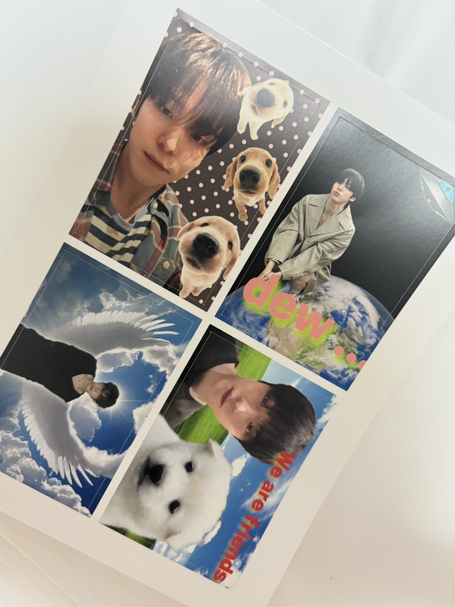 furallergy's tweet image. 안뇽하세염 ...
#RT 추첨을 통해 왕개가 보고싶은 두 분께 
사각 스티커를 보내드립니다  (˘･   ̫ ･˘)