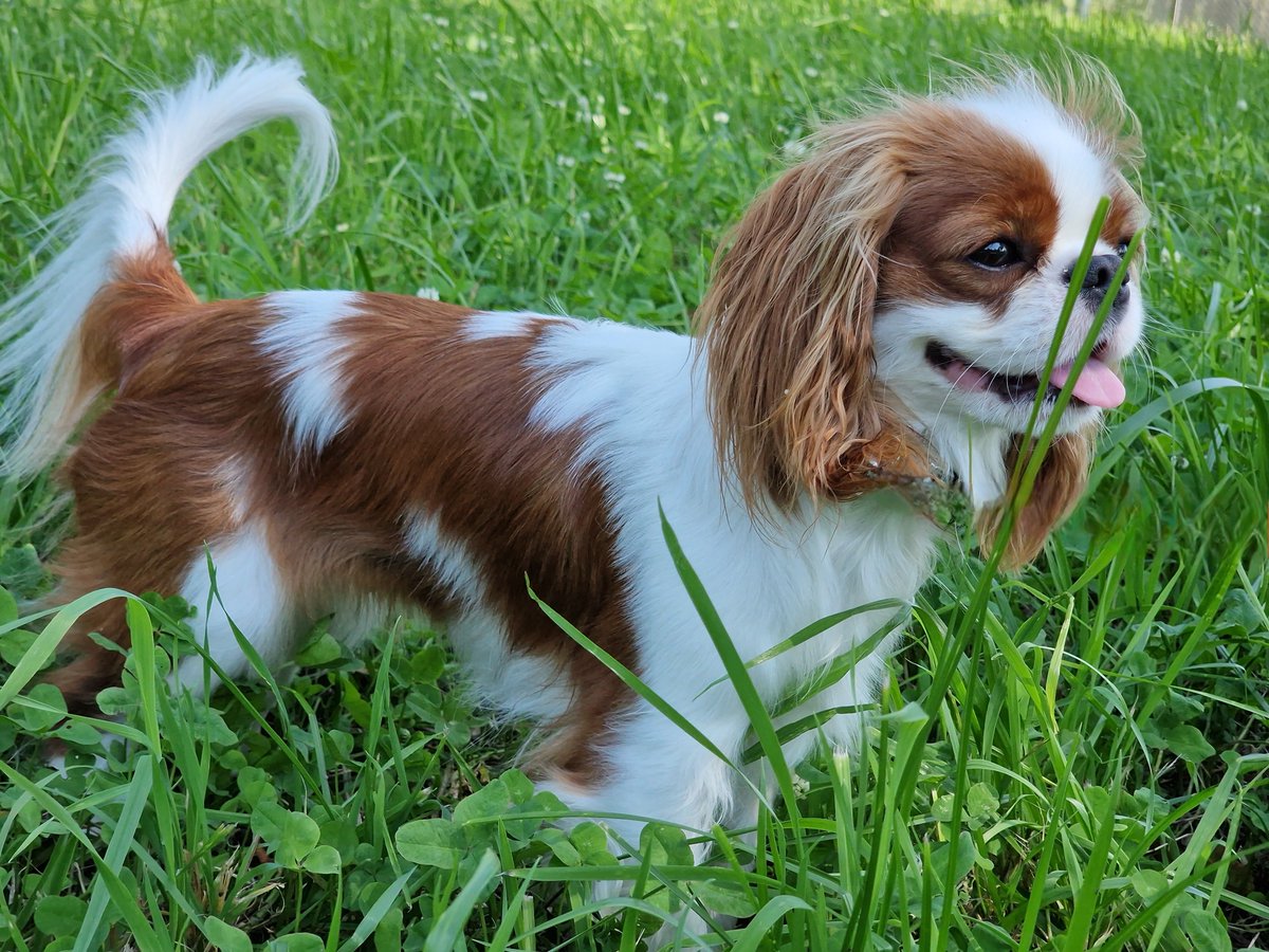 Гуляем и наслаждаемся летом))