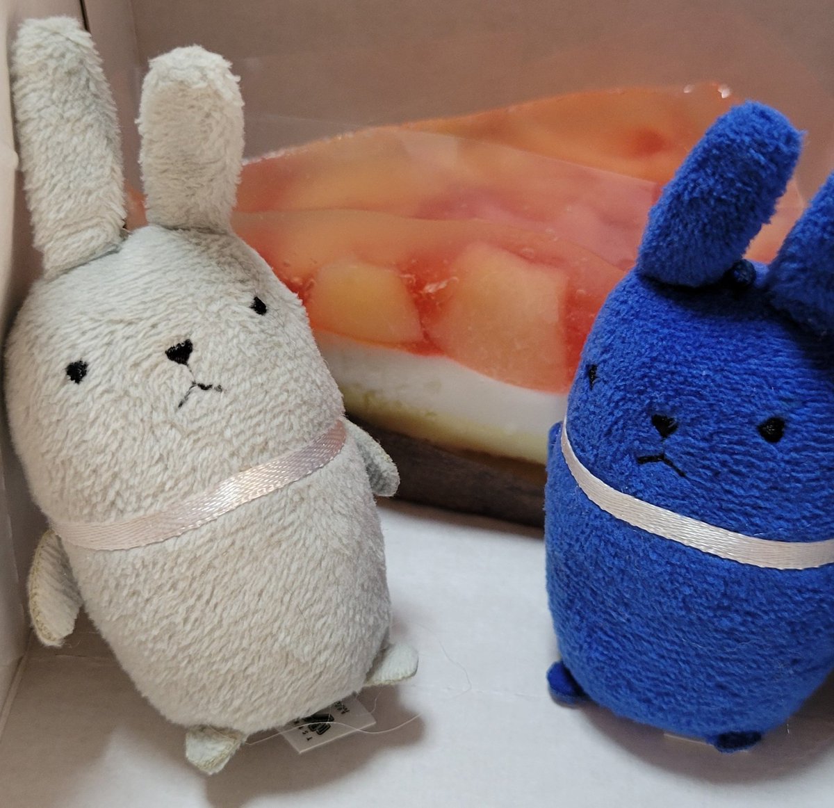 海くんお誕生日おめでとう🎂