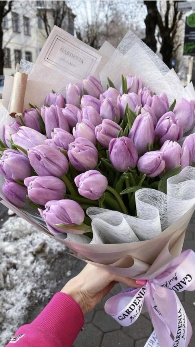Tulips Library (@tulipslibrary) on Twitter photo 