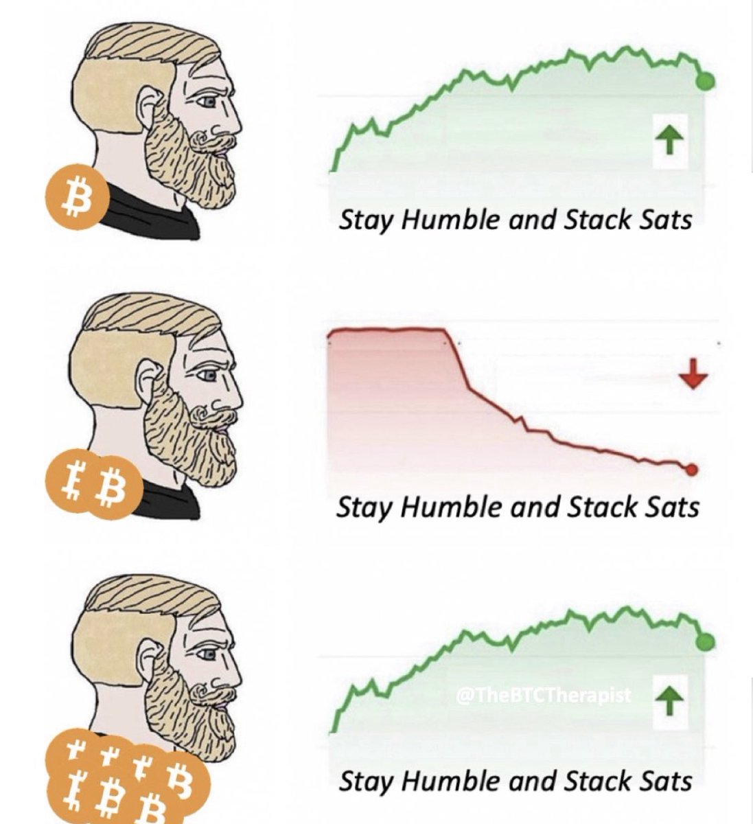 THIS IS THE WAY #BITCOIN ✊