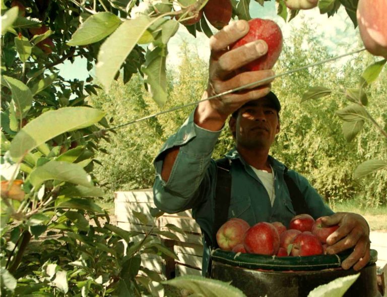 🍎 Productores de peras y manzanas del Alto Valle viajarán a Buenos Aires el 23 de julio para exponer la crisis de la fruticultura ante diputados.
📉 “La situación es insostenible”, advirtieron desde la Cámara de Productores de Cipolletti.

📲 Leé más en: realidadeconomica.com.ar/productores-fr…