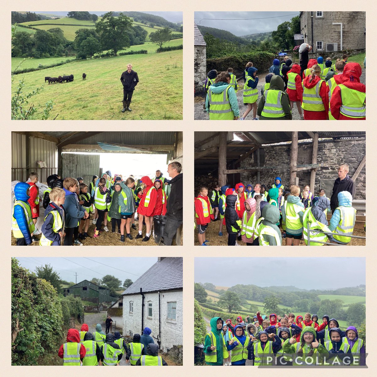 Er gwaetha’r glaw mentrodd disgyblion draw i fferm Tan Waen a chael croeso cynnes gan Jac Lôn. KS2 pupils really enjoyed learning about how Jac Davies went about setting up his own farm business. Mor braf oedd cael clywed cynghorion gwych am sut i ddechrau ffermio.