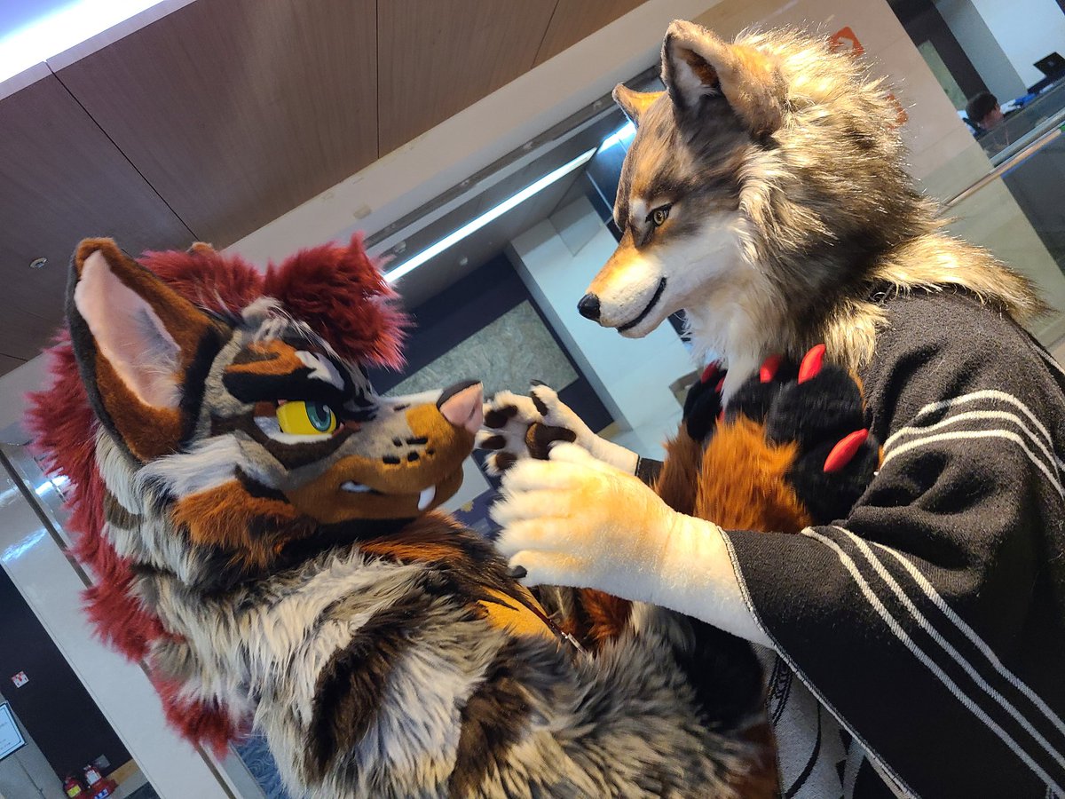 O3oNatsu's tweet image. #FURSTCLASS 
Duo pics 🦌📸✌️