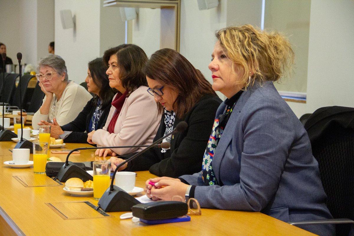 Rectora_UCT's tweet image. Estuvimos en una nueva sesión de la Red de Rectoras en @uchile, donde se presentó el Consejo Asesor de Estrategia de Desarrollo para la Ed. Superior, la implementación de la Ley N° 21.545 y el trabajo de la mesa técnica sobre inclusión de personas con discapacidad. #SomosUCT
