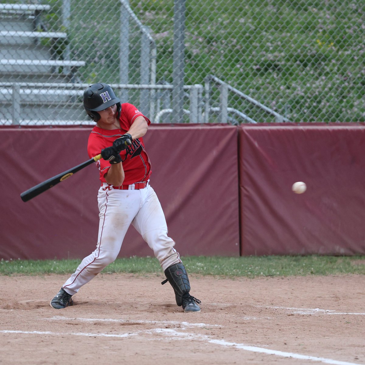 Albany Athletics tweet media