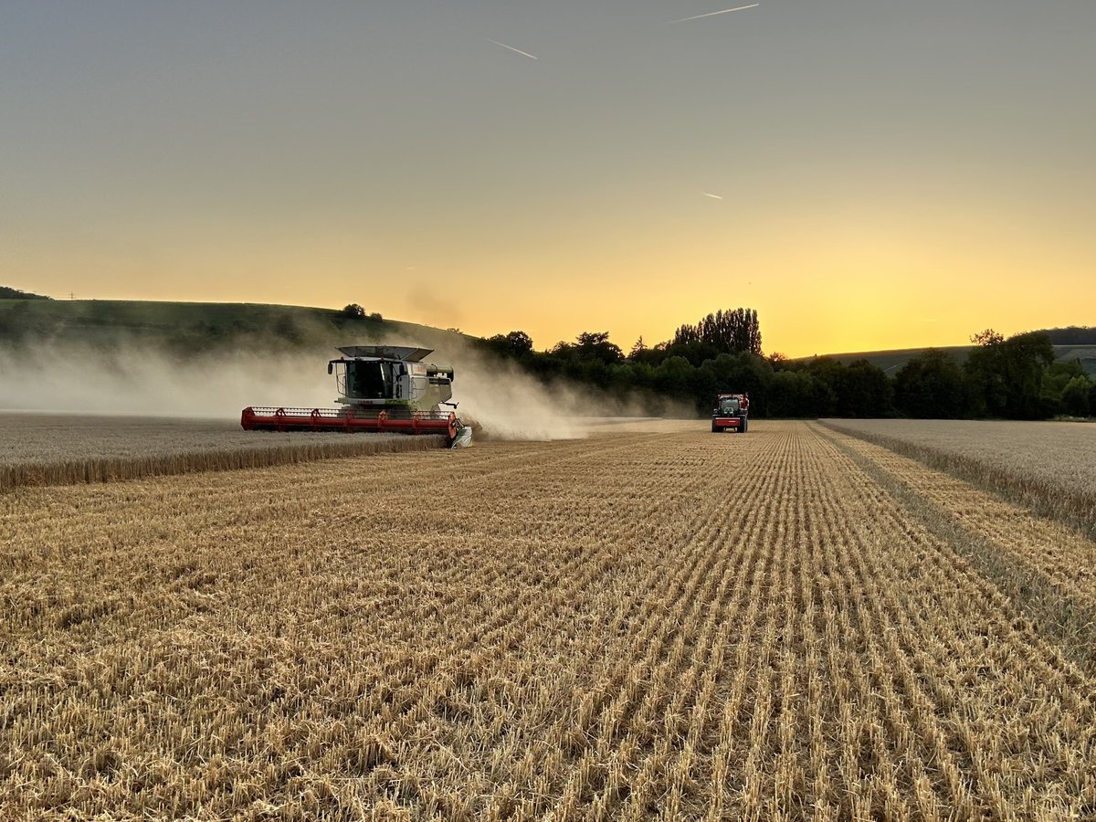📷 [CONCOURS PHOTO – LUMIÈRES D’ÉTÉ SUR MA FERME ]

Photo N°6 : Cette fois, c’est notre président d’arrondissement de Château-Thierry, Mathieu Vivier qui se prête au jeu

A Essômes-sur-Marne, une fin de journée de moisson, avec les coteaux emblématiques de la Vallée de la Marne