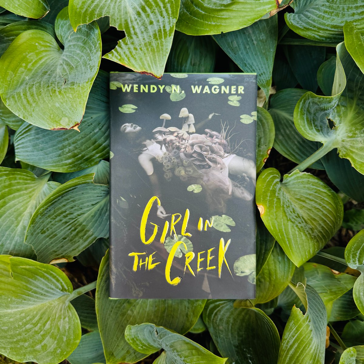 TorNightfire's tweet image. A very happy #bookbirthday to GIRL IN THE CREEK by Wendy N. Wagner🎉
This pulse-pounding eco-horror novel is out everywhere TODAY, grab your copy wherever books are sold!
us.macmillan.com/books/97812509…