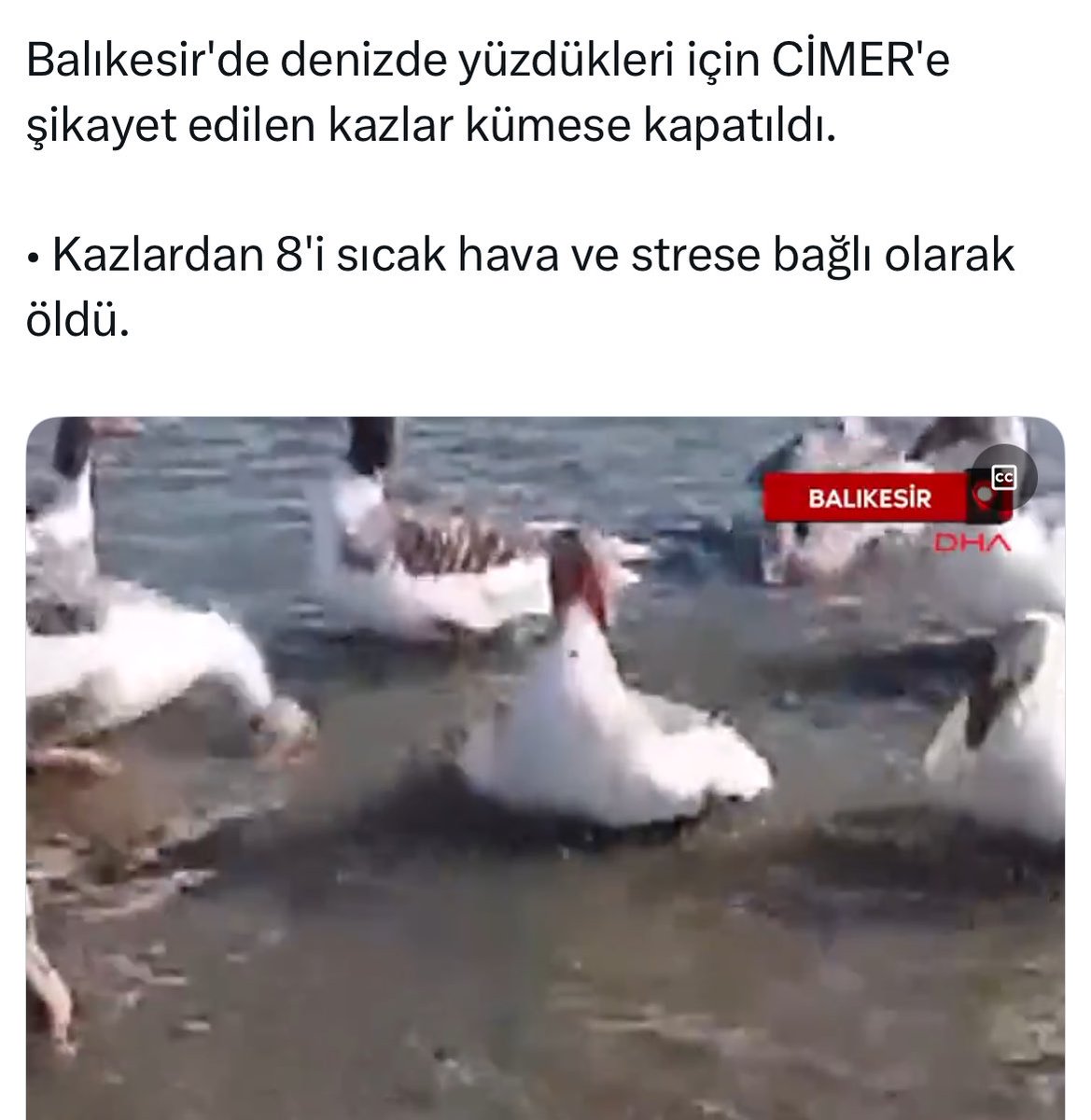 Kaz yahu kaz Cimer'e şikayet etmek nedir..?? Gerçi Grok'un hakkında suç duyurusunda bulunan kitleden ne bekliyoruz ki..!
#bitmişiz