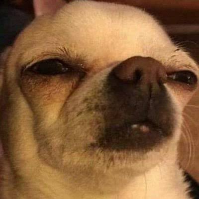 🐍Bamx2🐥LISA🐰พี่จ้าน🦁อู๊ดป๋อ ᙏ̤̫ tweet media