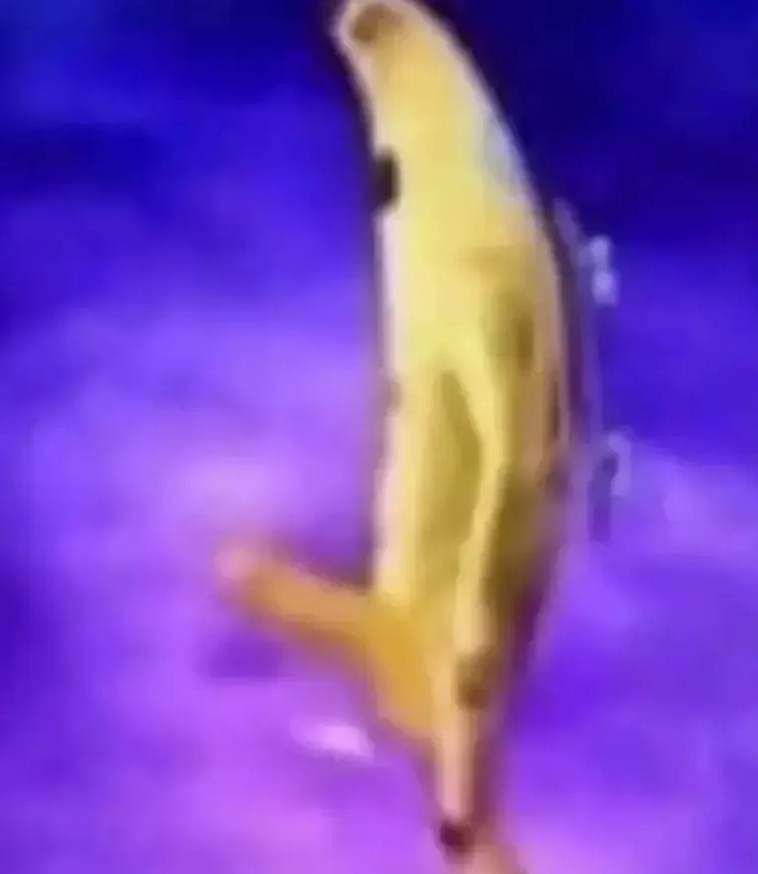 AndreFernando64's tweet image. 