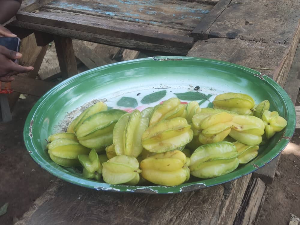 Did you know that Banana Island grows Black Tombla 🥔(black velvet) and Caramabola⭐ (star fruit)?

When you are on tour with us, you don't just explore; our experienced tour guides encourage you to purchase locally grown organic fruits and vegetables to help sustain small-scale