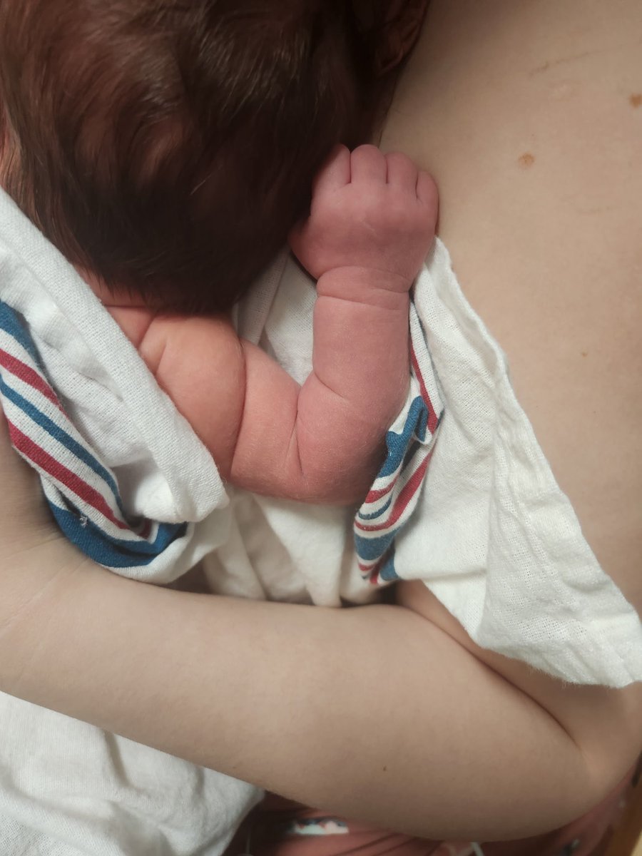 Catherine Manett tweet media