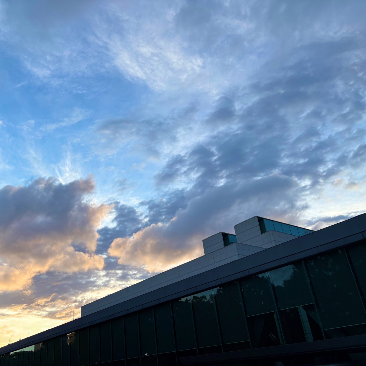 植村真　MakotoUemura tweet media