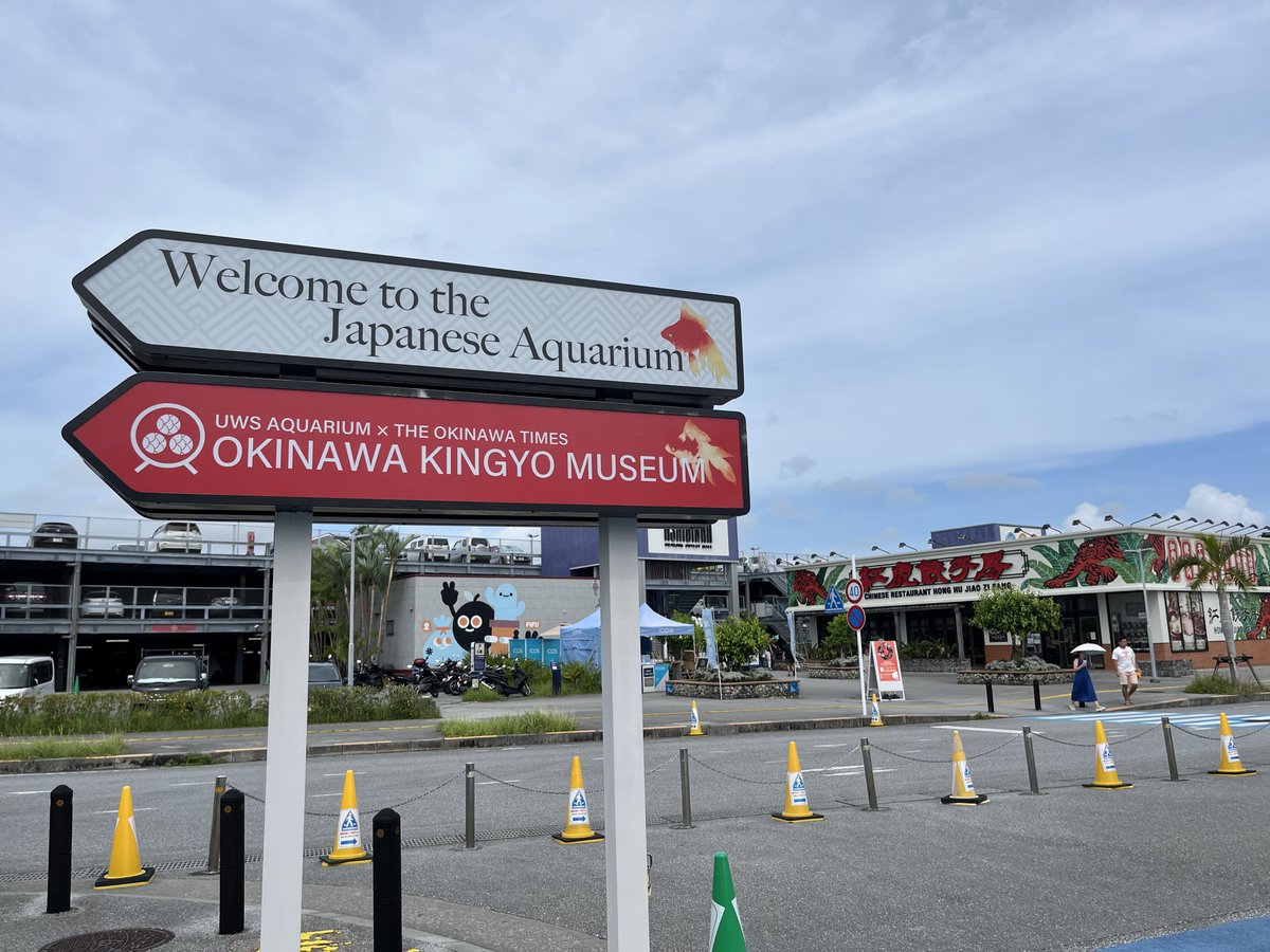 curve_ni's tweet image. 沖縄金魚ミュージアム、建物だけ見た。