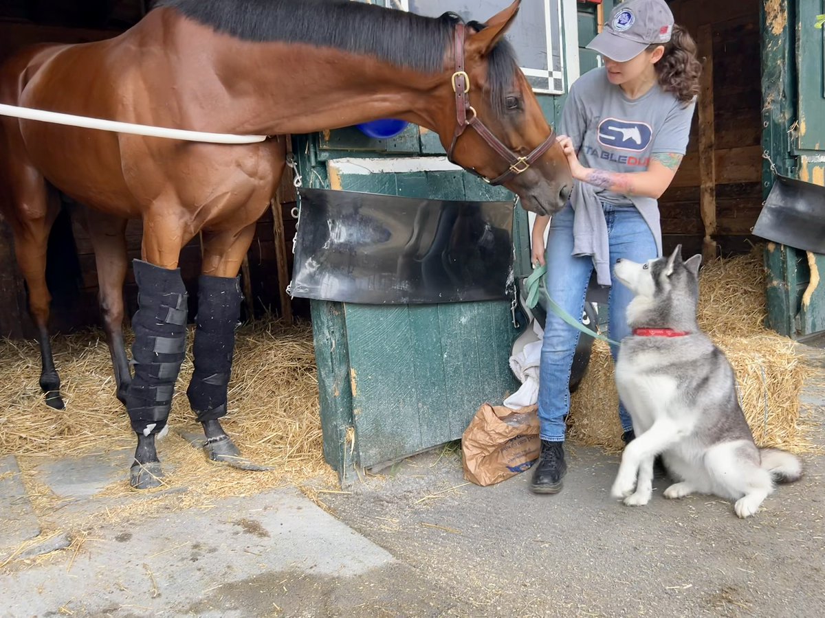 Thank you <a href="/jceracingstable/">JCERACINGSTABLE</a> for letting us say hi to Mo Plex ( 📸 <a href="/ErnieMunick/">Ernie Munick</a> )