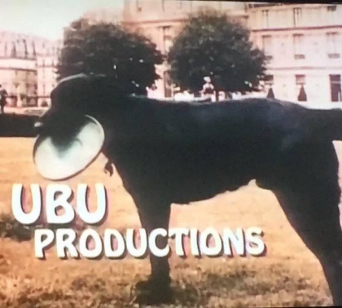 Super70sSports's tweet image. “Sit, Ubu, sit. Good dog.”