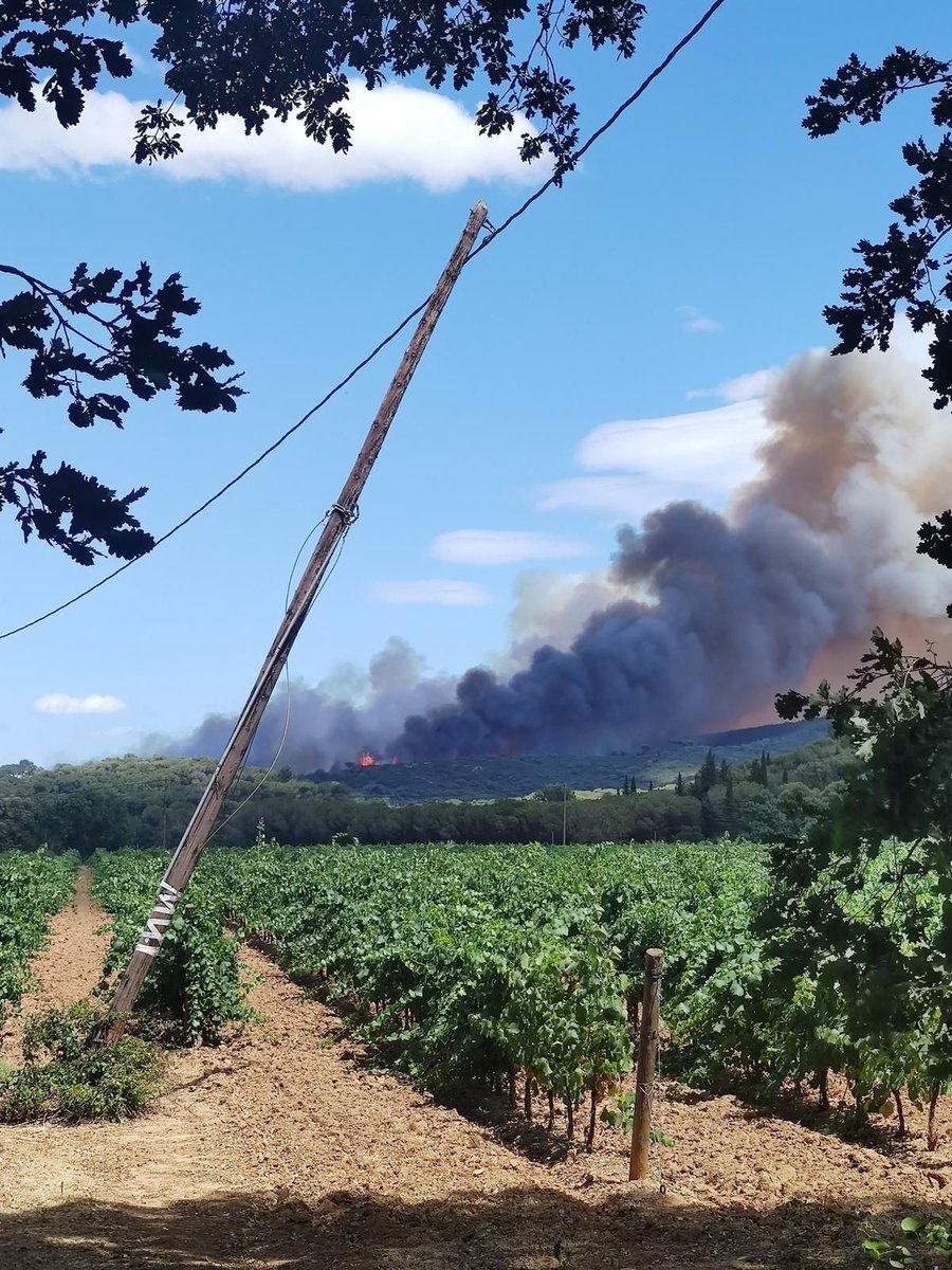 Préfet de Normandie et de la Seine-Maritime tweet media