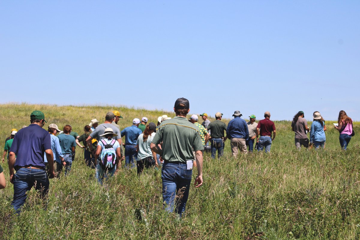 NDAgExpStation's tweet image. Scenes from yesterday's #NDSU Central Grasslands' Field Day! #NDSUFieldDays next stop 🛑..... Hettinger REC tonight ndsu.ag/fielddays25