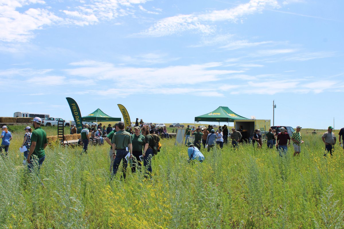 NDAgExpStation's tweet image. Scenes from yesterday's #NDSU Central Grasslands' Field Day! #NDSUFieldDays next stop 🛑..... Hettinger REC tonight ndsu.ag/fielddays25