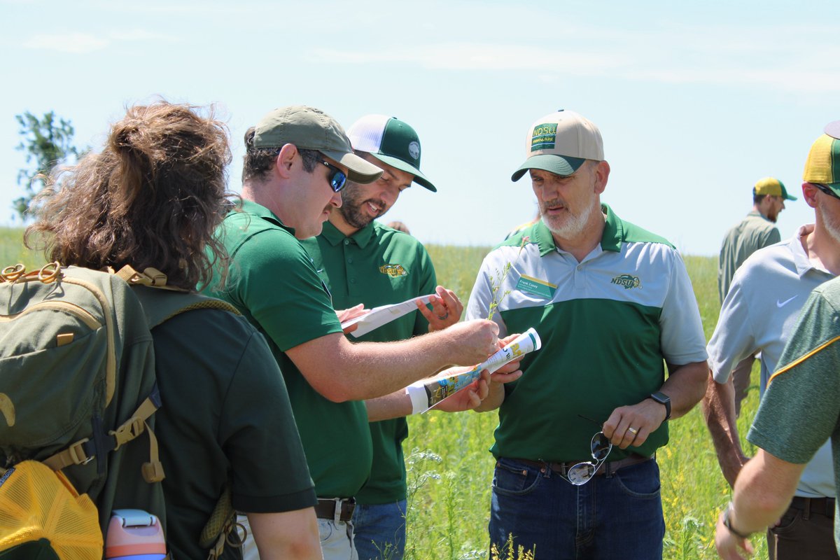 NDAgExpStation's tweet image. Scenes from yesterday's #NDSU Central Grasslands' Field Day! #NDSUFieldDays next stop 🛑..... Hettinger REC tonight ndsu.ag/fielddays25