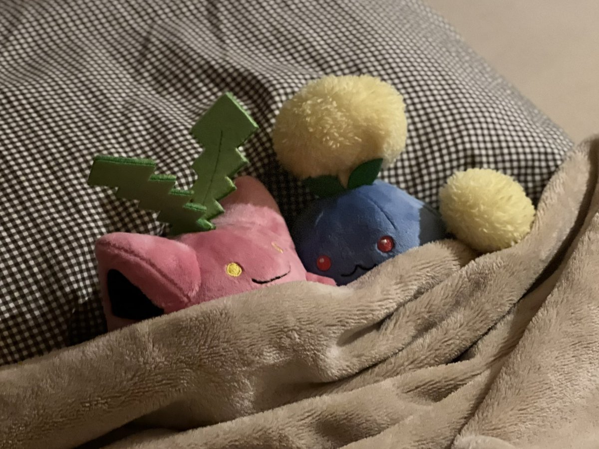 いしょ に ねる と い かんじ