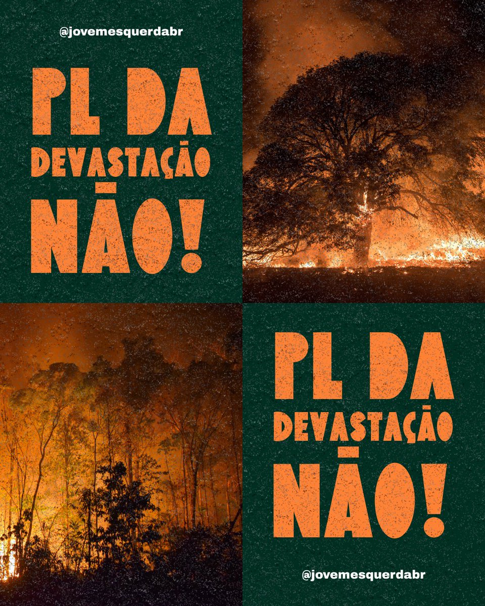 NÃO  O PL  DA DEVASTAÇÃO 
CONGRESSO INIMIGO DO POVO 
CONGRESSO DA MAMATA