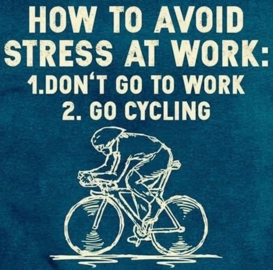 Discerning Cyclist tweet media