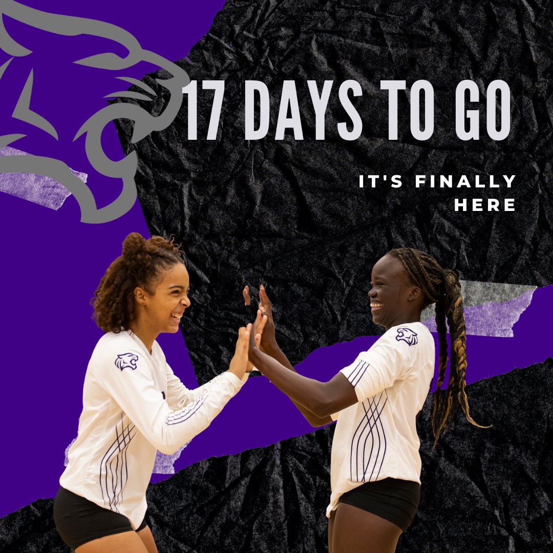 Elgin Wildcat Volleyball (@elginvball) on Twitter photo 🏐 17 Days Out
17 days to prove we’re not just hype — we’re heart.
 Let’s go, Elgin! 💜
 #17DaysOut #HeartOfThePack #OTOTOF 🏐 17 Days Out
17 days to prove we’re not just hype — we’re heart.
 Let’s go, Elgin! 💜
 #17DaysOut #HeartOfThePack #OTOTOF