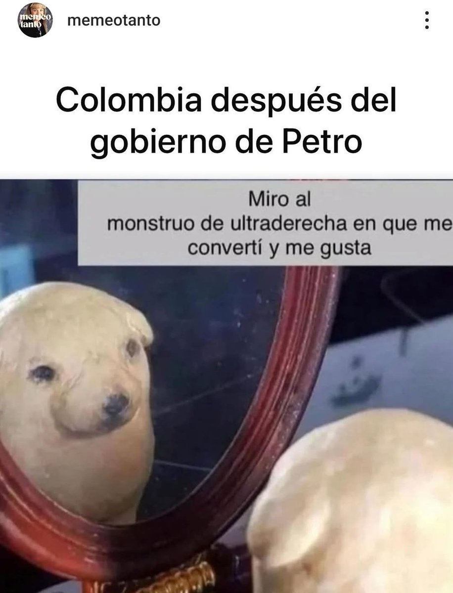 Parece un chiste, pero no lo es.