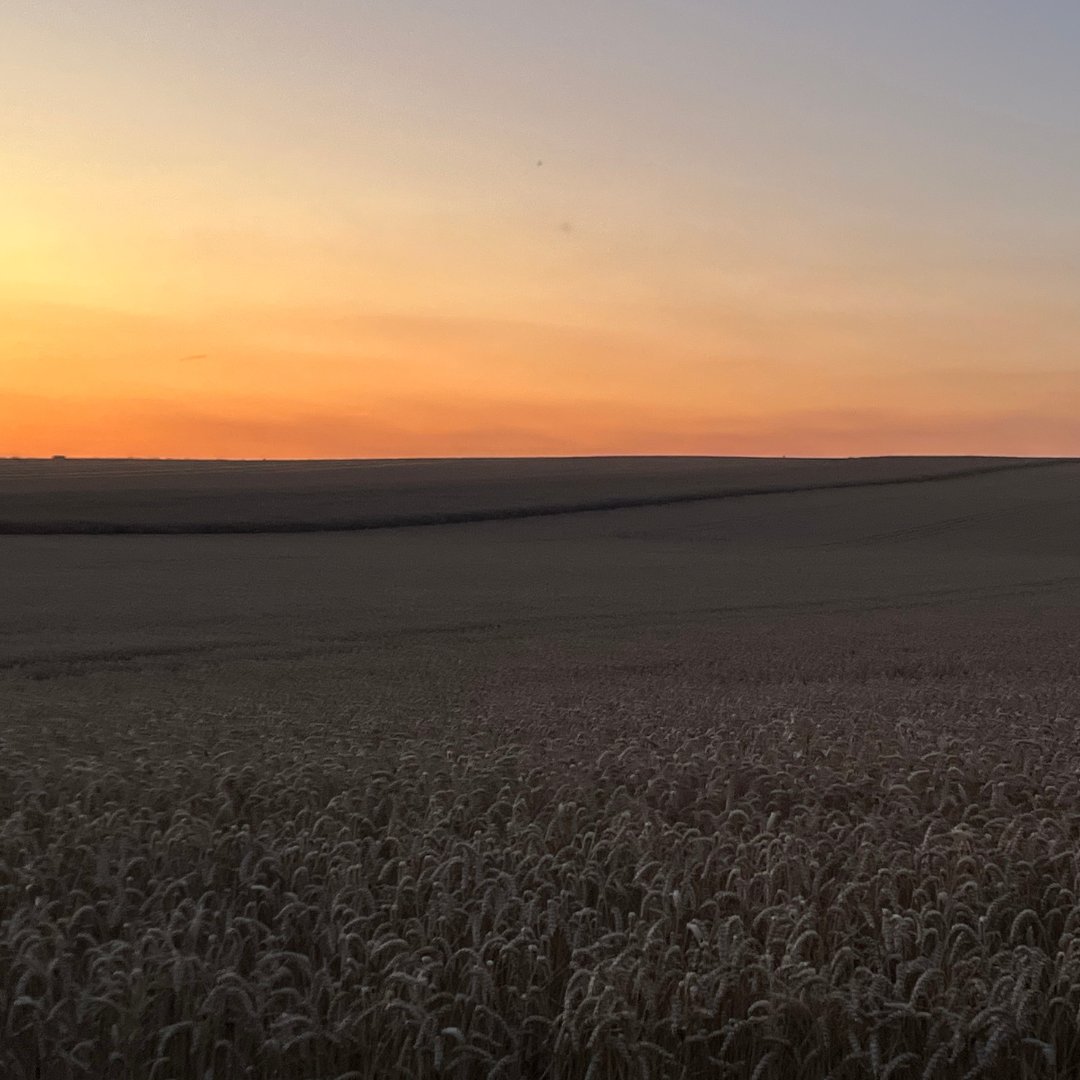 [CONCOURS PHOTO – LUMIÈRES D’ÉTÉ SUR MA FERME ]

Photo N°7 :  Dorothée Magny , ambiance magique et paisible d’une fin de journée où jeux de lumière, reflets et coucher de soleil se répondent à merveille.
 
Pargny-les-Bois, le 11/07/2025
