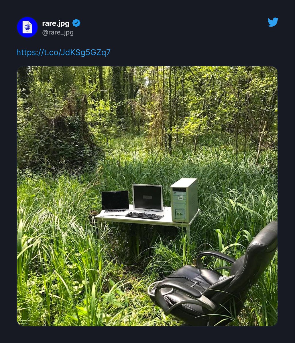GitHub Projects Community tweet media