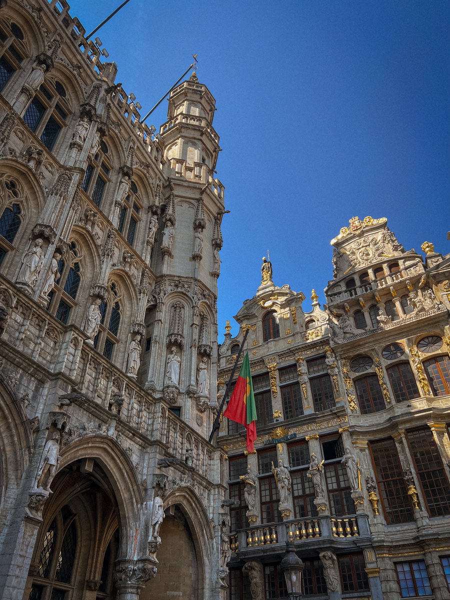 seekingxplorer's tweet image. Grote Markt in Brussels, Belgium