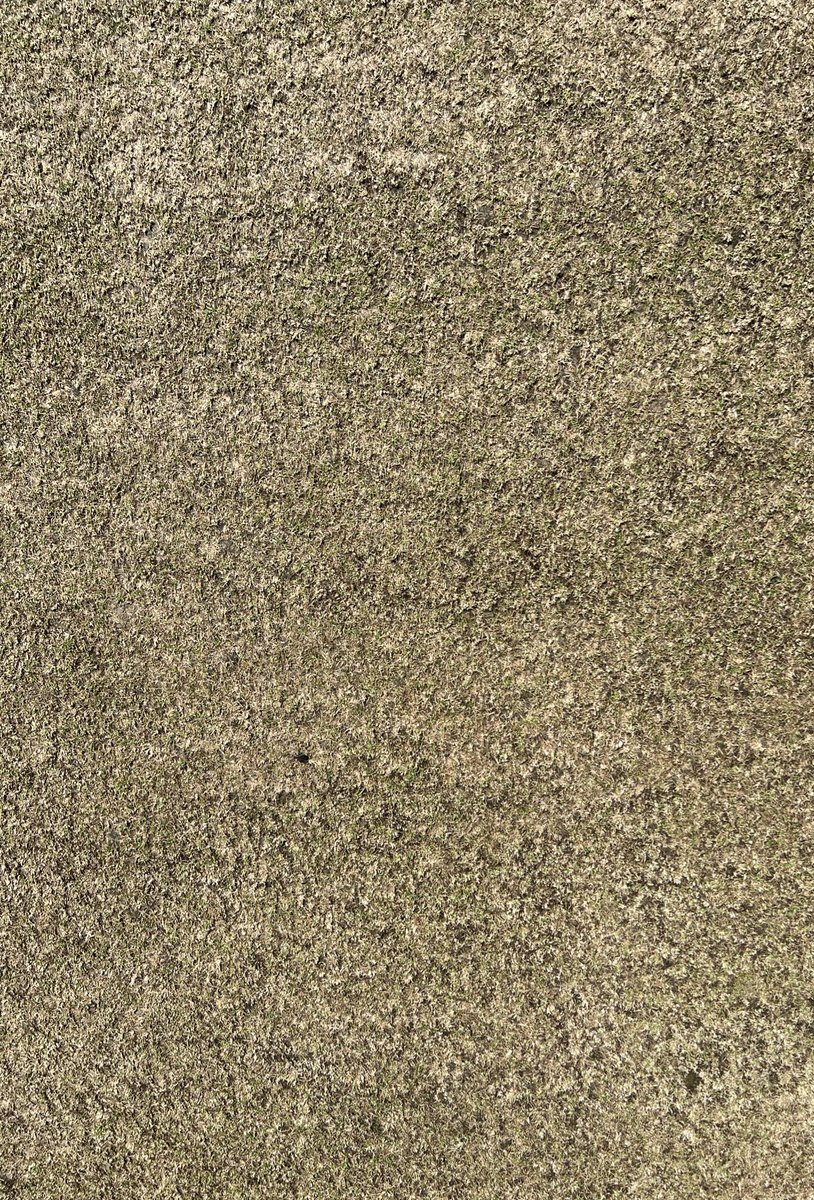 Karl McDermott tweet media