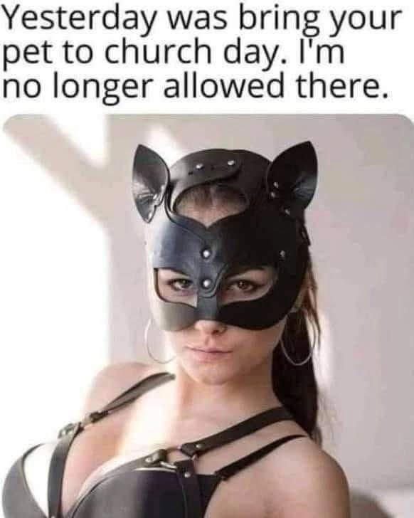 🤣🤣🤣