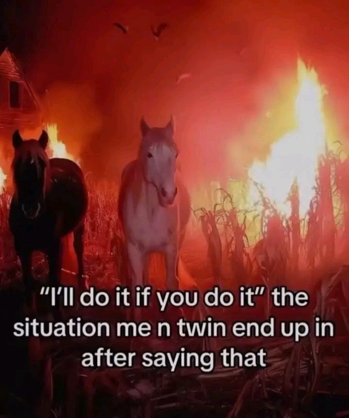 wildtiktokss's tweet image. 