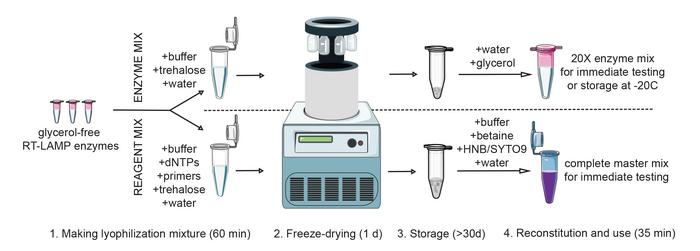 LSAjournal's tweet image. Novel open-source diagnostic tool offers affordable, reliable pathogen detection for resource-limited settings. Read the article here life-science-alliance.org/content/8/10/e… and the press release here eurekalert.org/news-releases/…