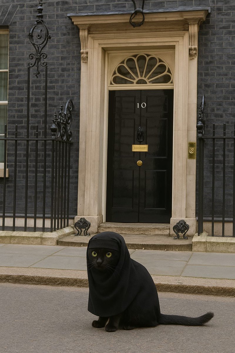 Downing street has a new cat!