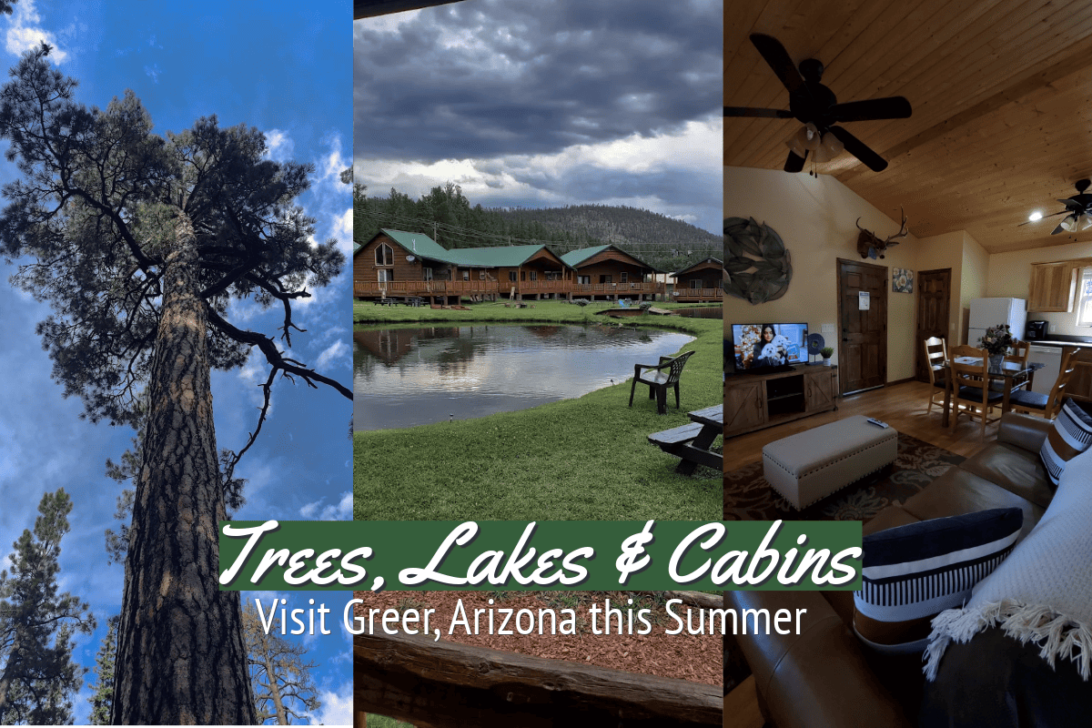 greerlodge's tweet photo. Need Some TLC? Try Trees, Lakes &amp; Cabins https://t.co/8wG2frWsOn #TravelTuesday #GreerAZ https://t.co/CFzEKTKgKO