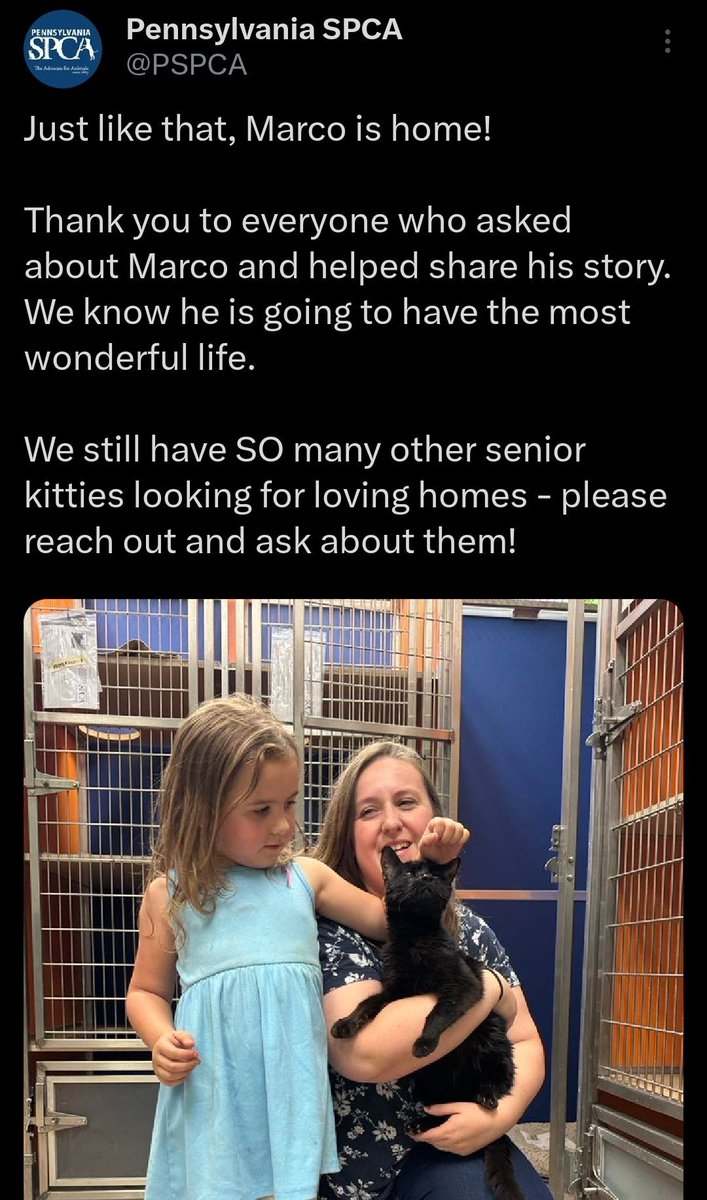 I'm just elated darling grandpa cat "Marco" from the Pennsylvania SPCA was adopted! Have a great life dear boy! 💞😺👏