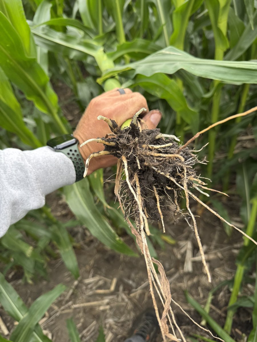 Brandon Schulzetenberg tweet media